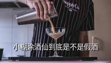 小糊涂仙普仙什么意思(茅台镇云峰酒业小糊涂仙)