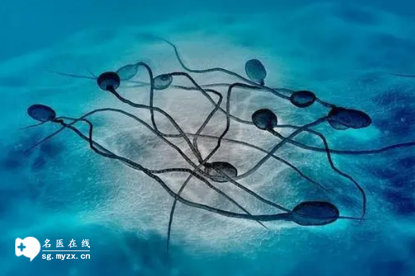 精子碎片率影响试管移植成功率(碎片率过高要当心移植失败)
